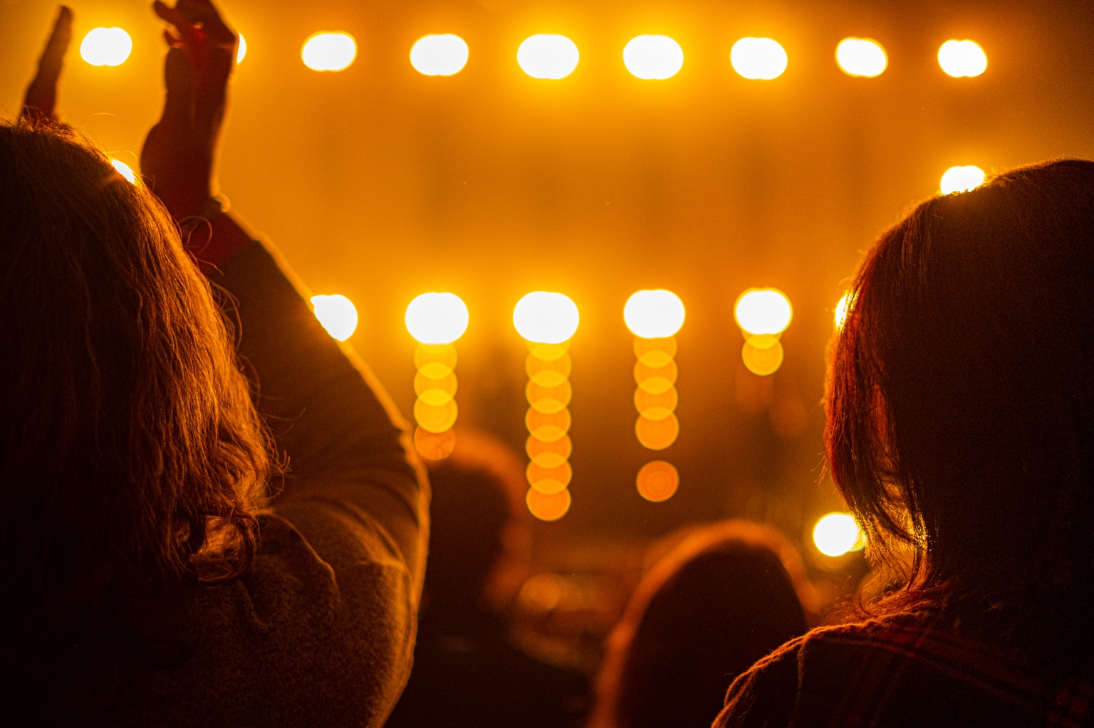 Audience at a live event